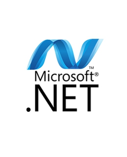 .NET Framework