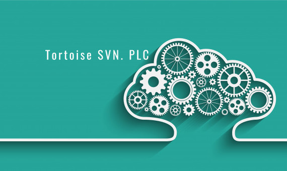 SVN 4 PLC